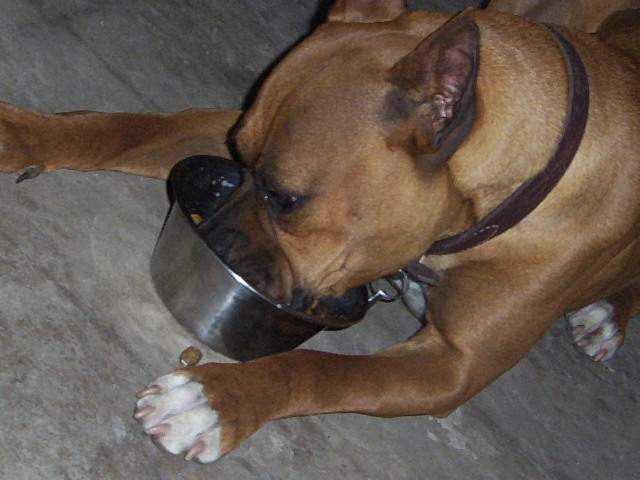 Picture_2179