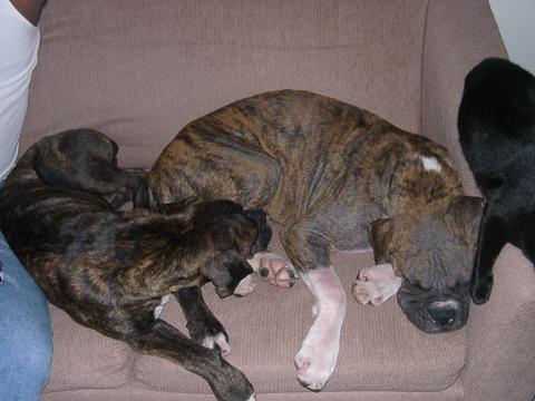 Picture_232