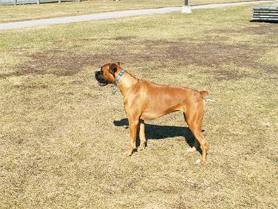 Picture_801