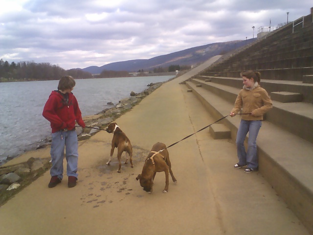 pictures_016