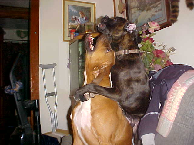 Piggyback ride!