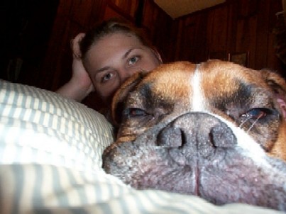 pillow hog