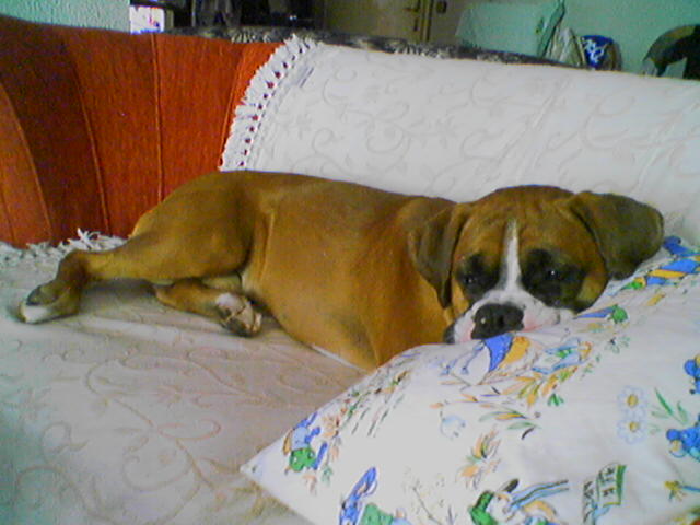 pillow