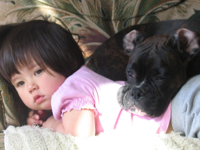 Pillow
