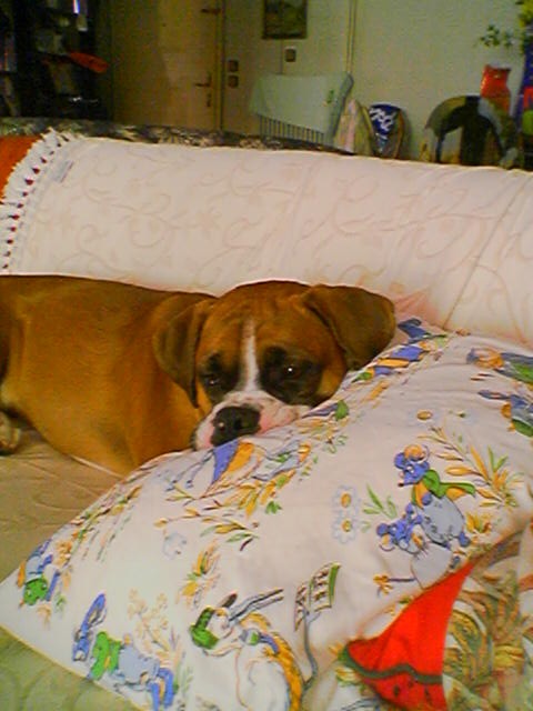 pillow2