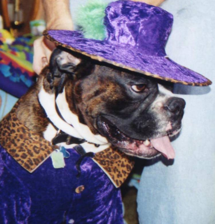 Pimp Dogg Gage
