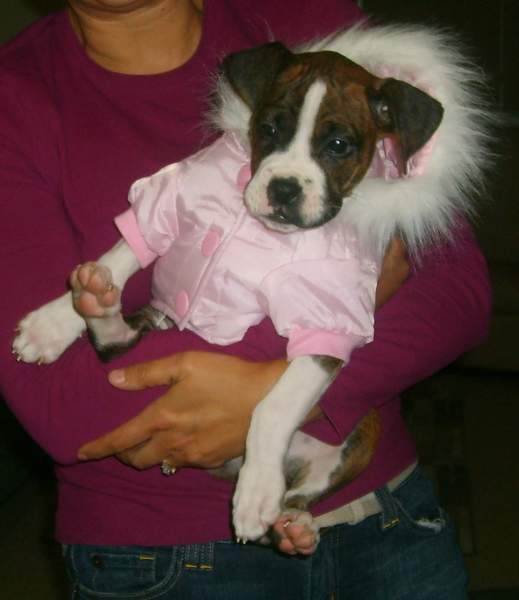 pink jacket
