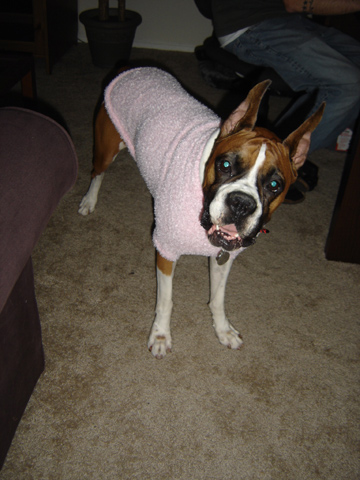 pinksweater1