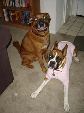 pinksweater2
