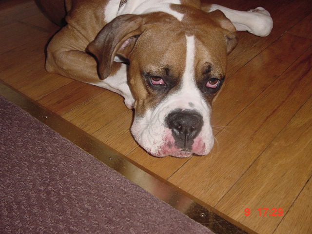 Plain wore out