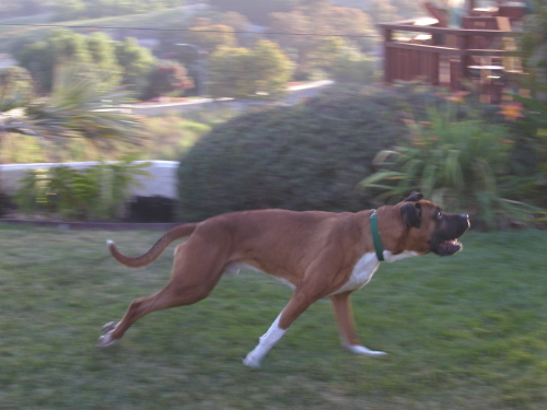 Plato in action!