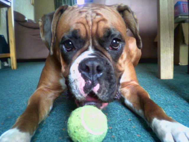 play ball with me . . . plz