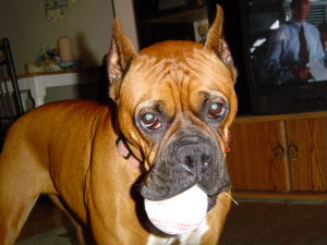 Play ball?