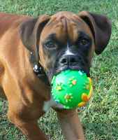 Play ball