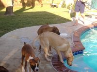Play date with friends