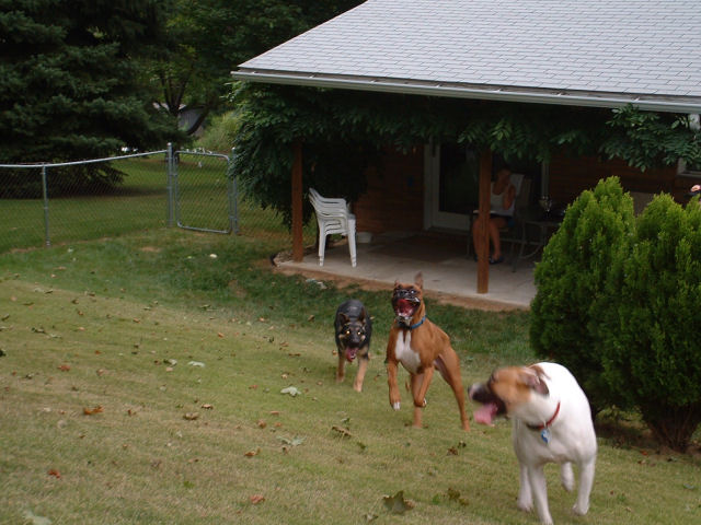 Play Date