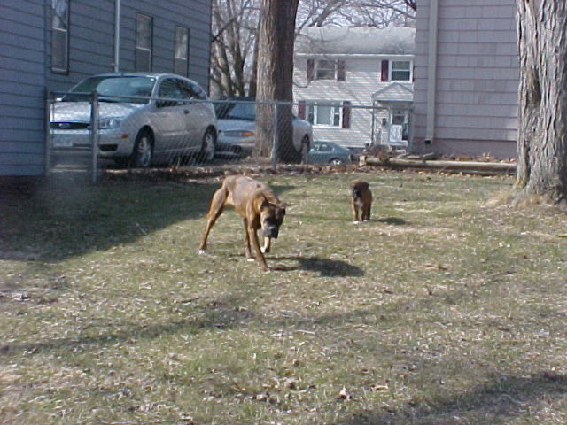 Play day