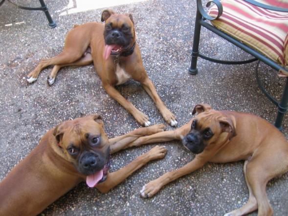 Play day