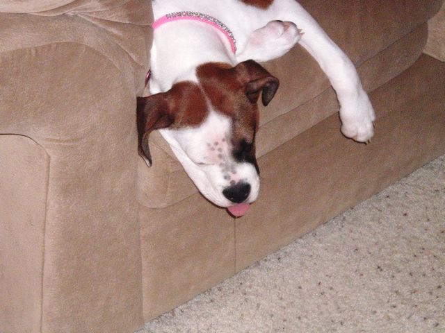 Play hard, Sleep hard