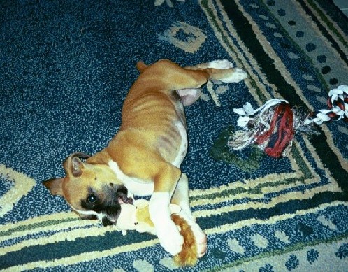 play play play