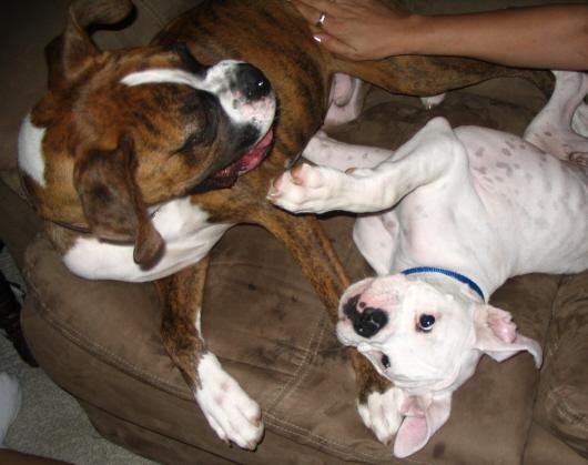 Play Play Play