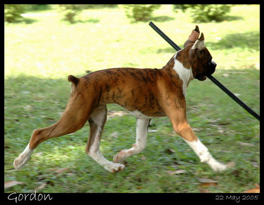 Play Time 1