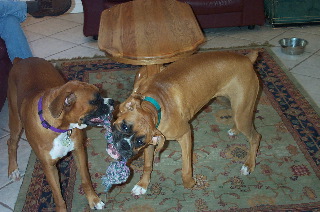 Play time