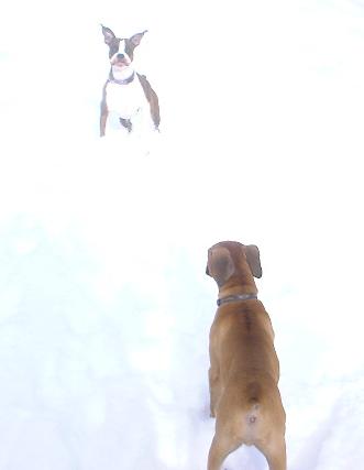 Play Time