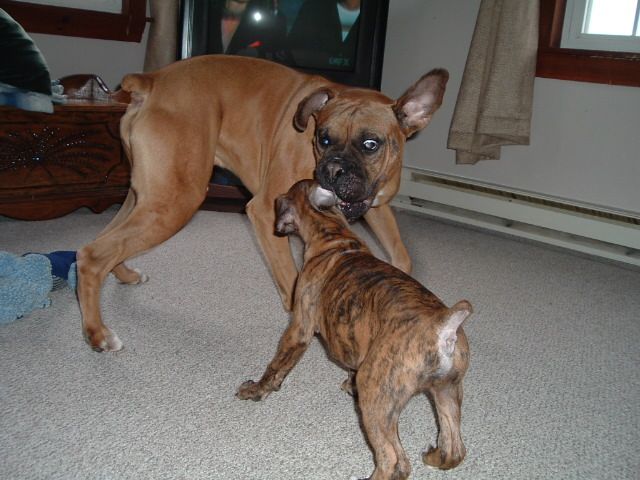 Play time