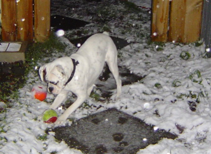 Play time