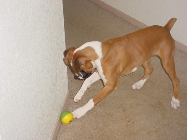 Play time