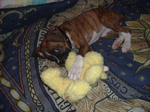 Play Time