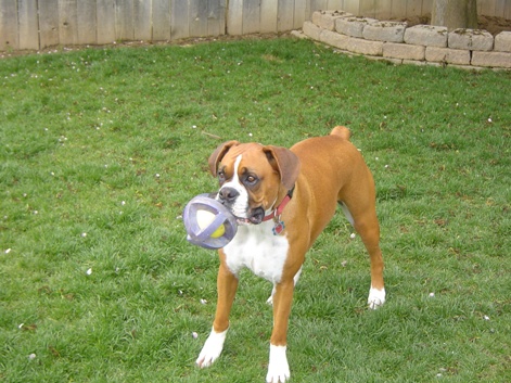 Play time