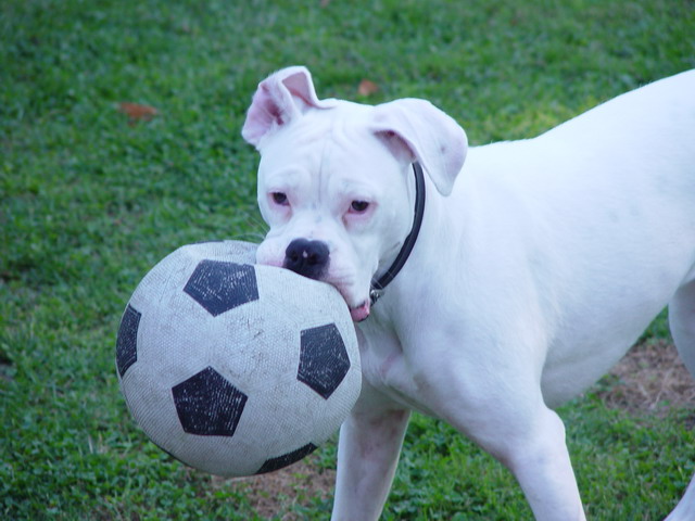 play time