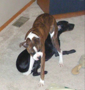 Play Time