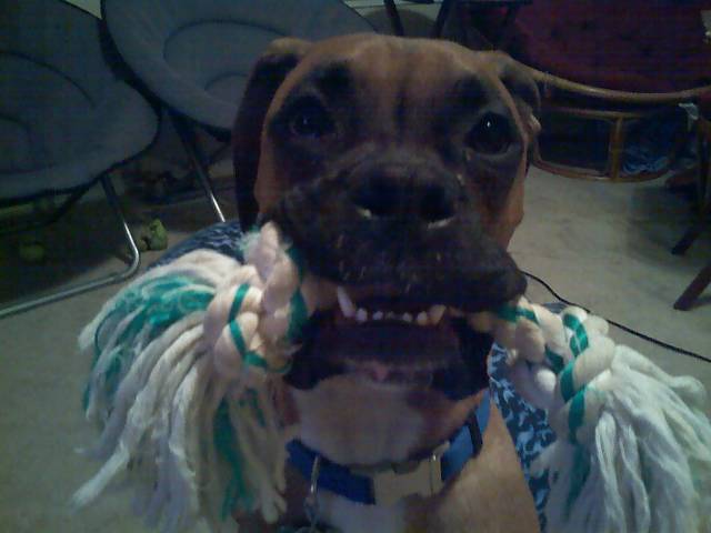 Play time?