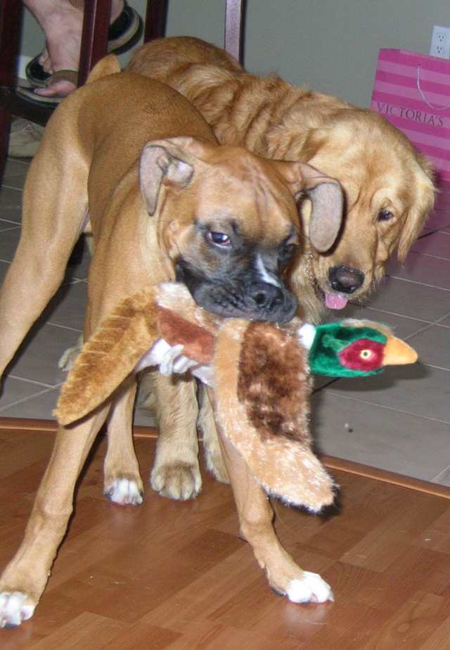 Play time