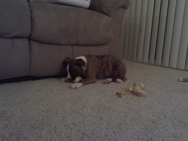 play time