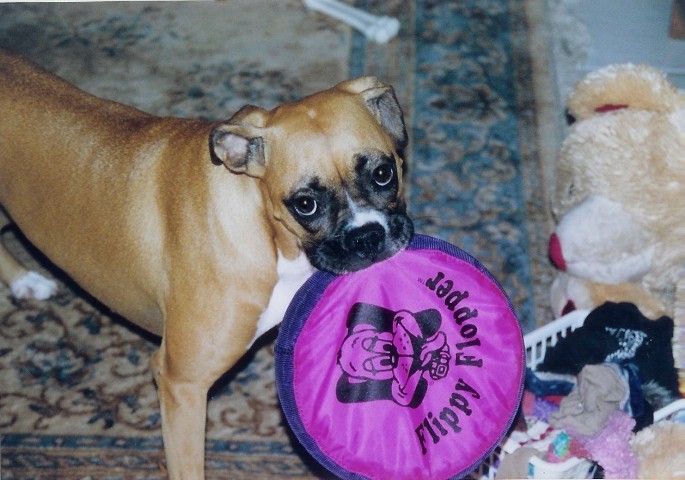 Play with me... please!!!