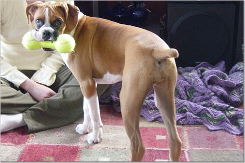 play with me