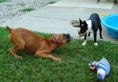Play With ME!