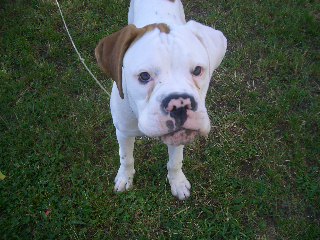 PLAY WITH ME!