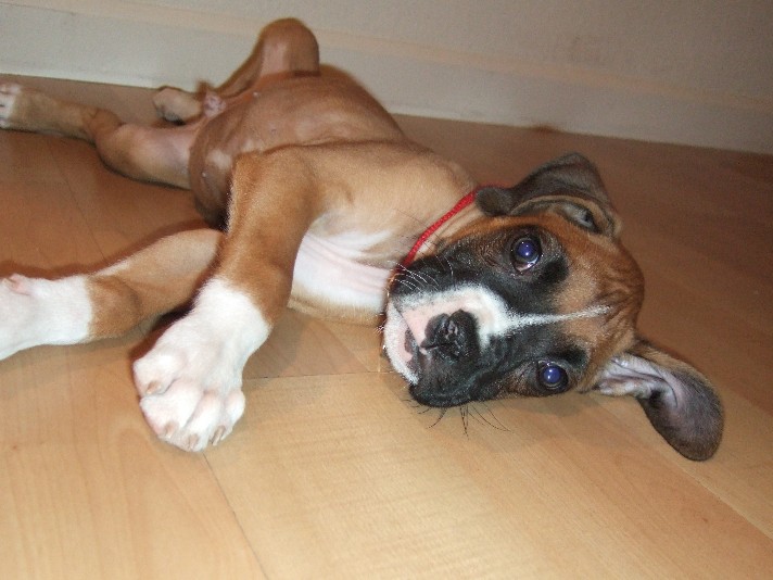 play with me