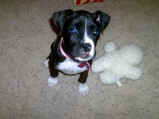 play with my mommy!