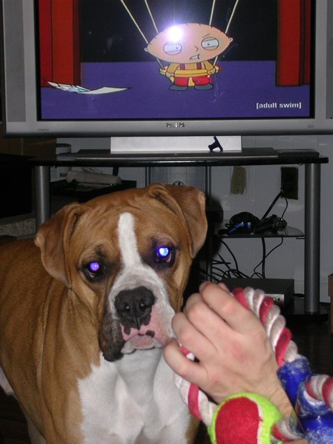 play?