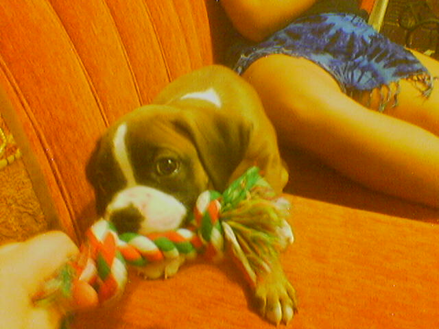 playiiing!!!!