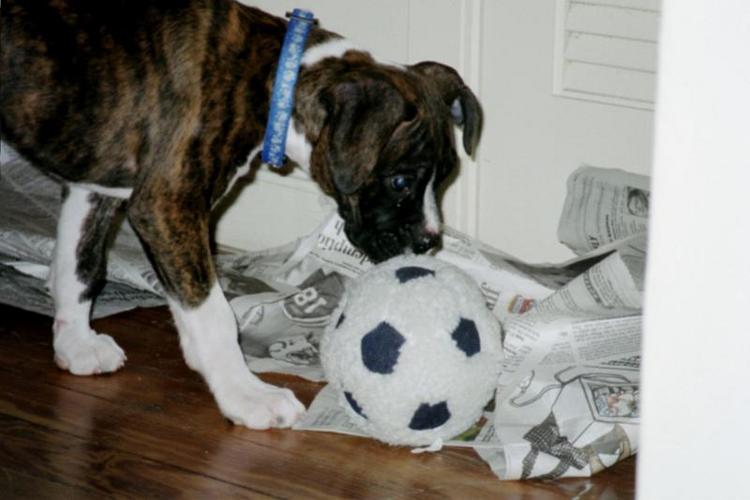 Playin a little soccer