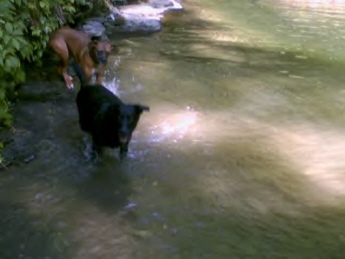 Playin' in the water!