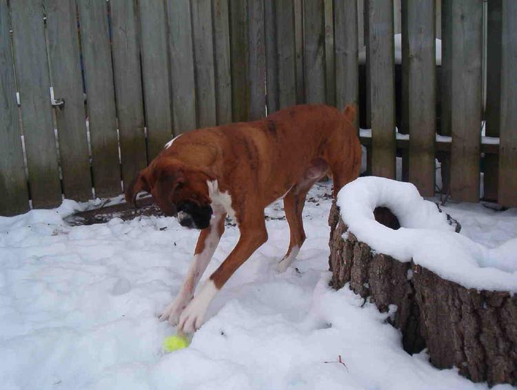 playin!