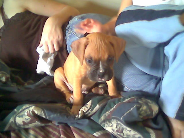Playin